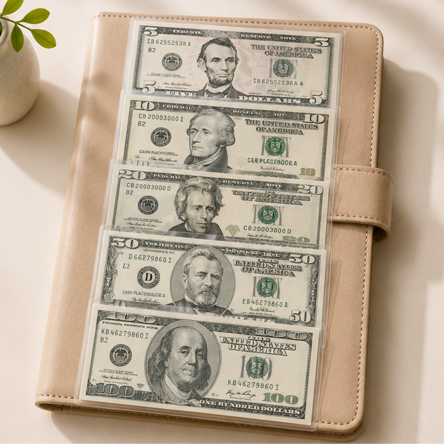Cash Budget Placeholder Set